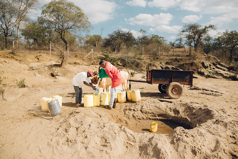 strategic-partnership